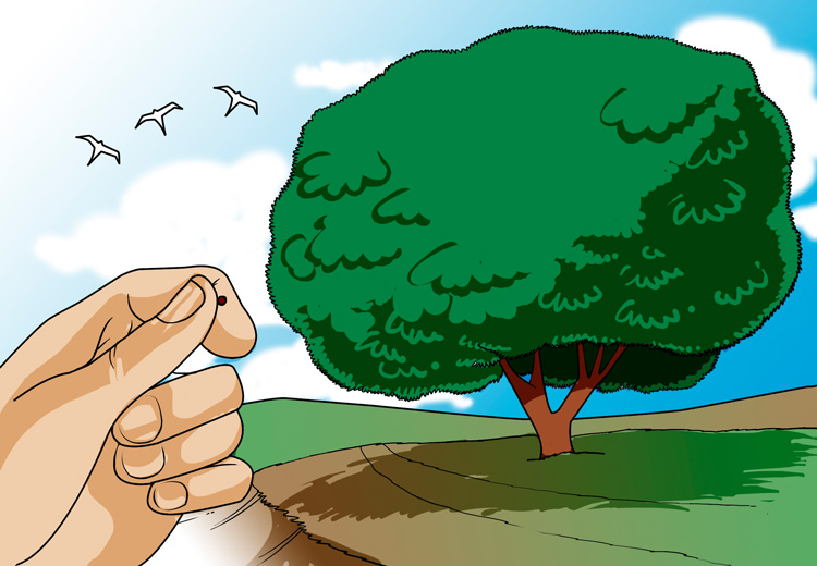 remessas 5 e 6-(24-11-Comum).