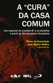 A "Cura" da Casa Comum - ano especial da Laudato Si' e os desafios a partir do Sínodo para a Amazônia