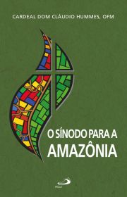 O Sínodo para a Amazônia